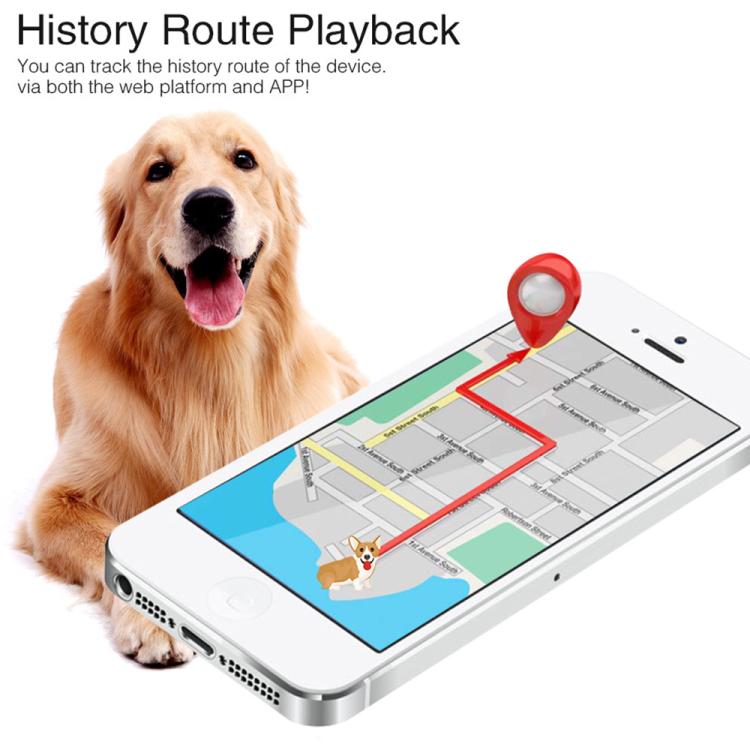 TK919 4G Dog Collar IP67 Waterproof GPS Locator - Tape Random Color Delivery