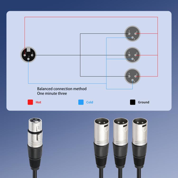 XLR Female to 3 XLR Male 3-Way Splitter Audio Cable, Length: 60cm