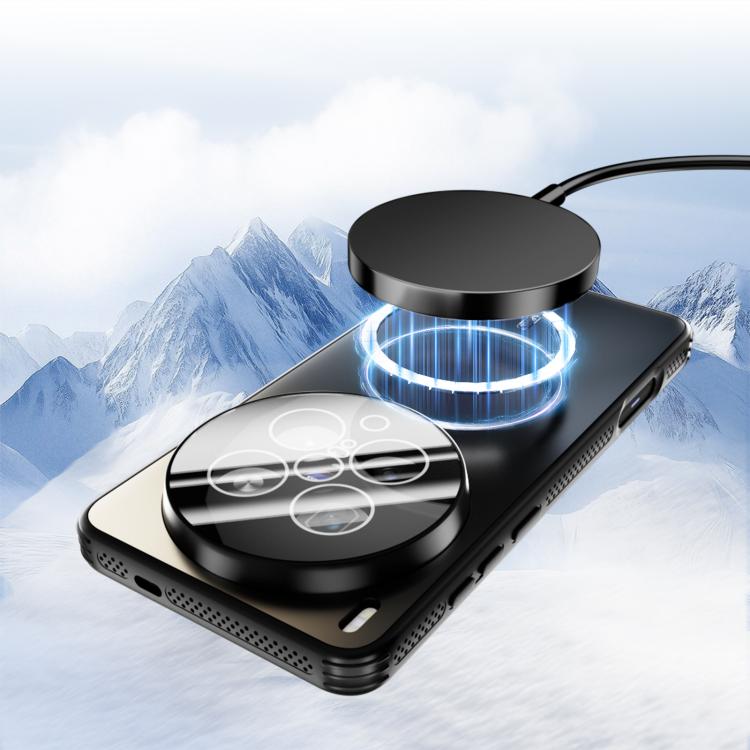 For vivo X200 ABEEL Heat Dissipation Frosted MagSafe Phone Case with Lens Film