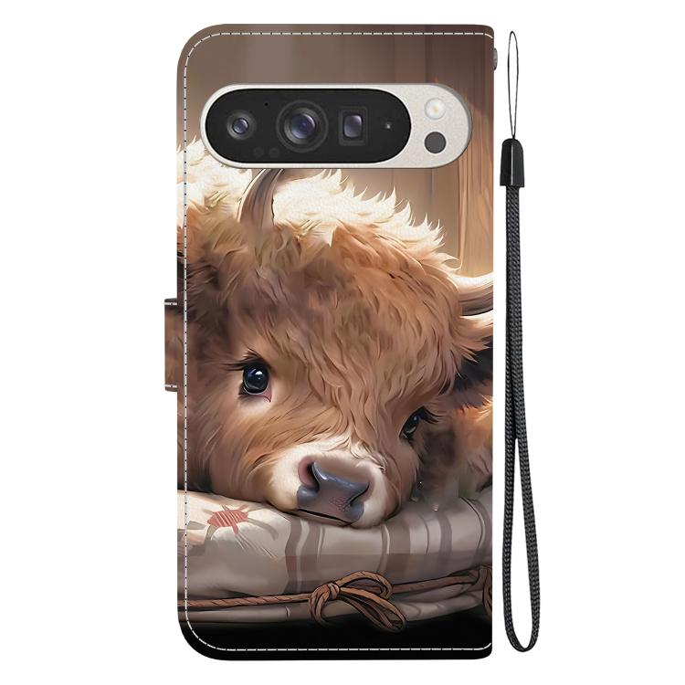 For Google Pixel 9 Pro XL Crystal Texture Colored Drawing Leather Phone Case