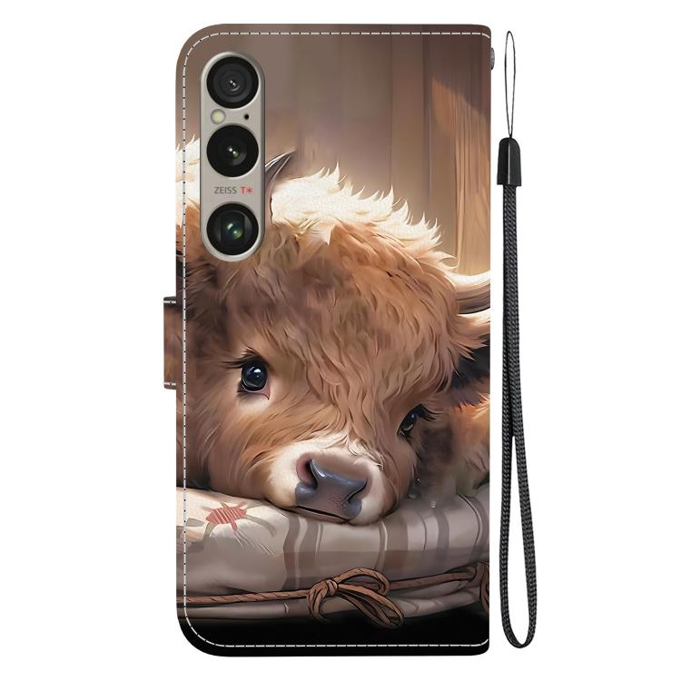 For Sony Xperia 1 VI Crystal Texture Colored Drawing Leather Phone Case