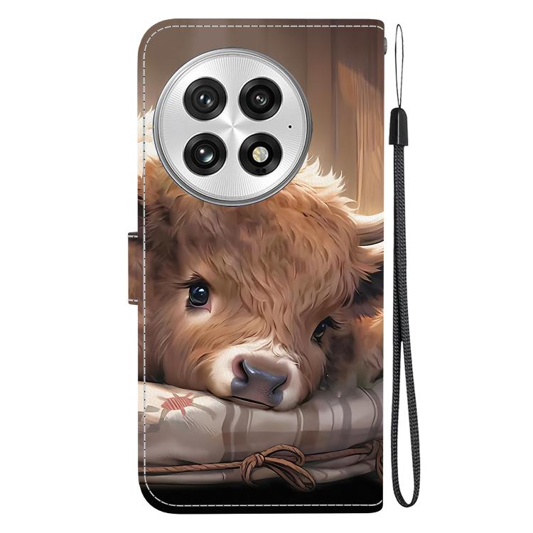 For OnePlus 13 Crystal Texture Colored Drawing Leather Phone Case