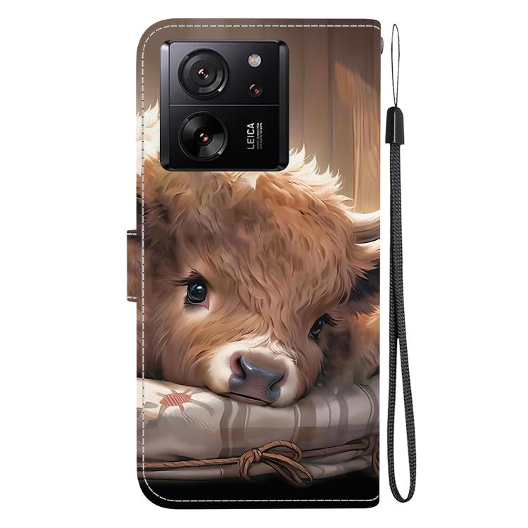 For Xiaomi 13T / 13T Pro / Redmi K60 Ultra Crystal Texture Colored Drawing Leather Phone Case