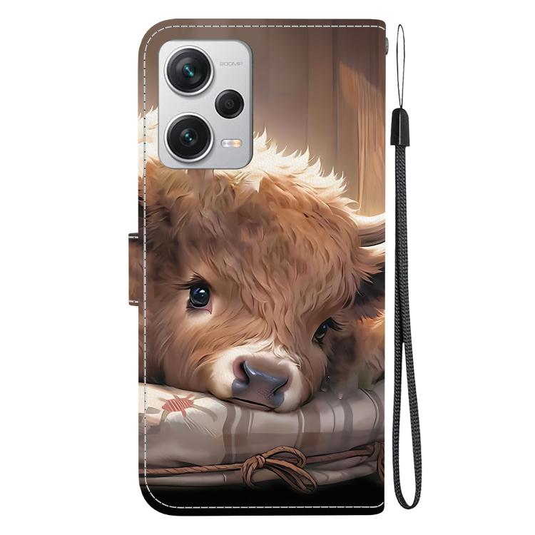 For Redmi Note 12 Pro+ Global Crystal Texture Colored Drawing Leather Phone Case