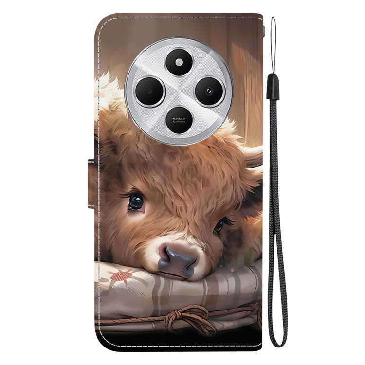 For Redmi 14C 4G / A4 5G / A3 Pro Crystal Texture Colored Drawing Leather Phone Case