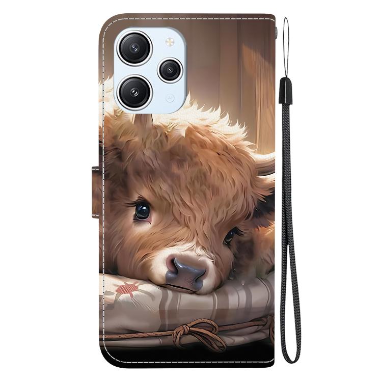 For Redmi 12 4G / 5G / Note 12R Crystal Texture Colored Drawing Leather Phone Case