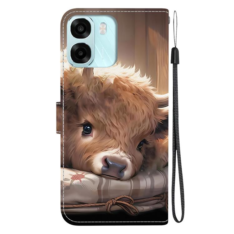 For OPPO A6 / A6s / A6t / A6x 4G / 5G Global Crystal Texture Colored Drawing Leather Phone Case
