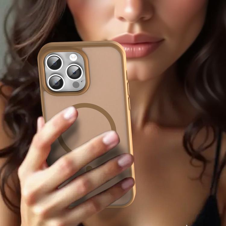 For iPhone 14 Pro Max Fanying Series PC Hybrid TPU Translucent Frosted MagSafe Phone Case