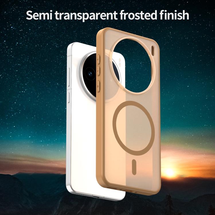 For vivo X200S Fanying Series PC Hybrid TPU Translucent Frosted MagSafe Phone Case