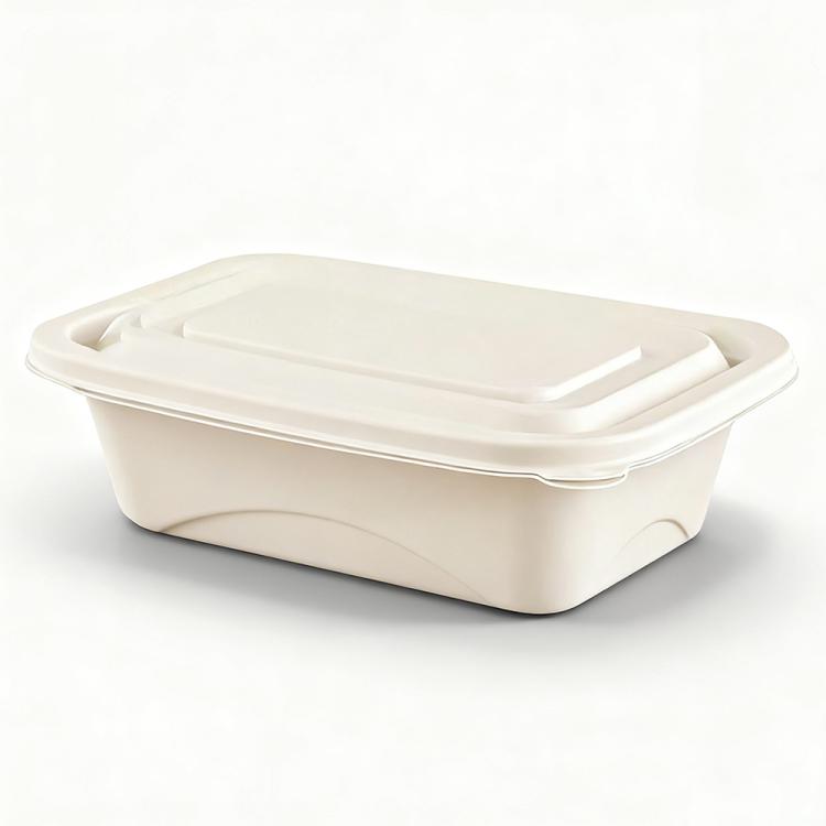 500ML Square Box Disposable Food Delivery Lunch Box Containers with Lid