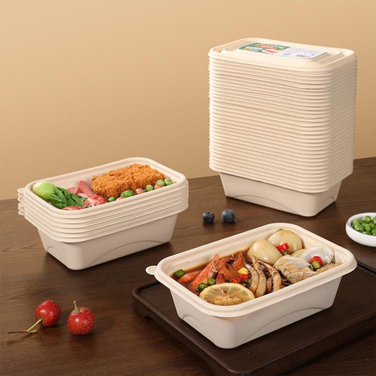 510ML 2-Compartment Disposable Food Delivery Lunch Box Containers with Lid