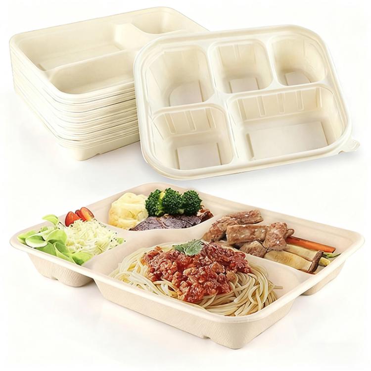 1000ML 4-Compartment Disposable Food Delivery Lunch Box Containers with Lid