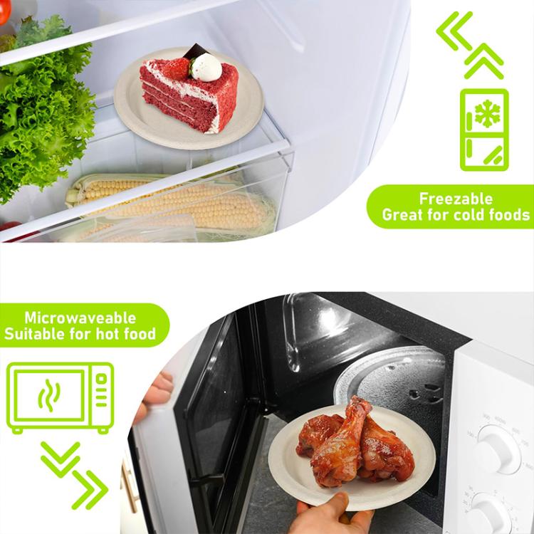 9 inch Biodegradable Disposable Round Plate