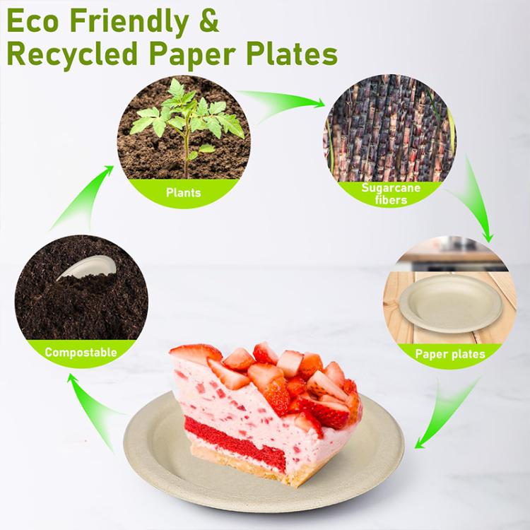 7 inch Biodegradable Disposable Round Plate