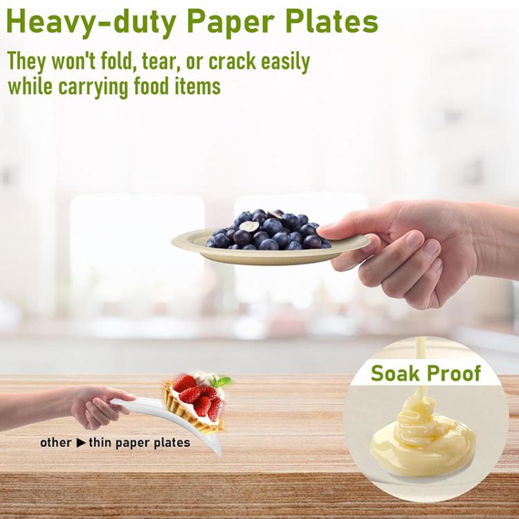 7 inch Biodegradable Disposable Round Plate
