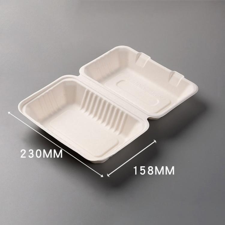 230x158x80mm Disposable Takeout Lunch Box Containers