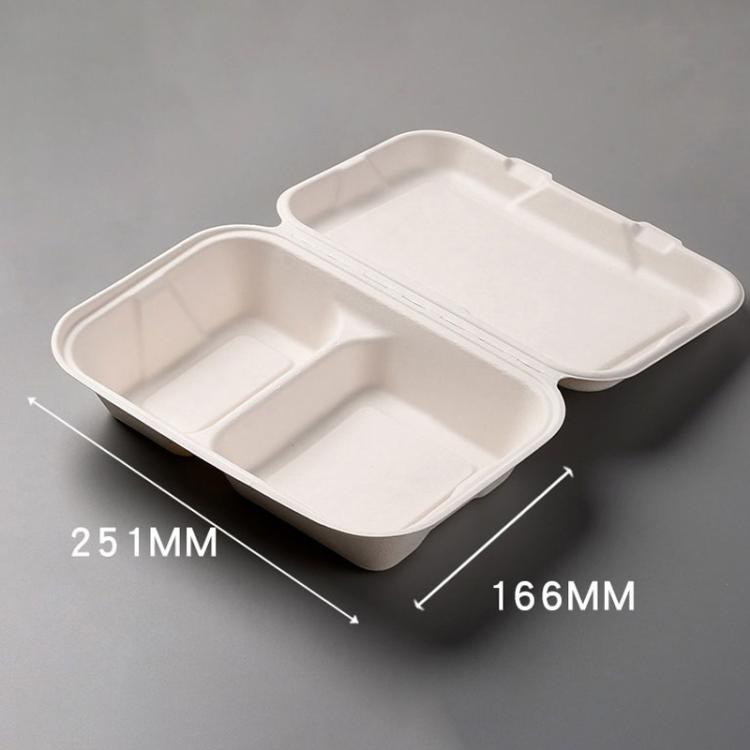251x166x63mm Disposable Takeout Lunch Box Containers