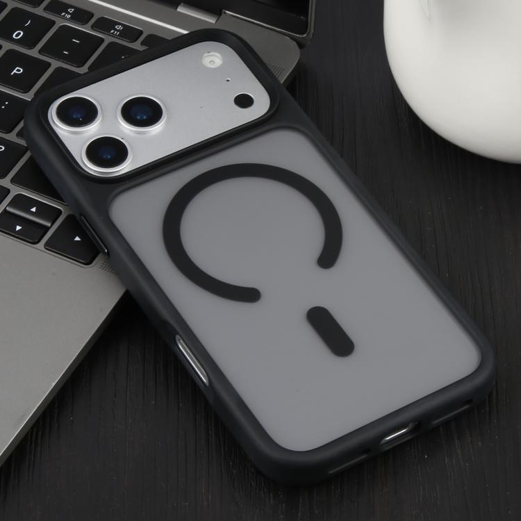 For iPhone 17 Pro Max DFANS DESIGN Leather Texture Frosted Magsafe Magnetic Phone Case