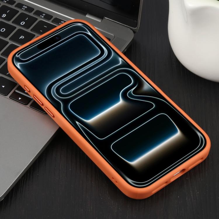 For iPhone 17 Pro Max DFANS DESIGN Leather Texture Frosted Magsafe Magnetic Phone Case