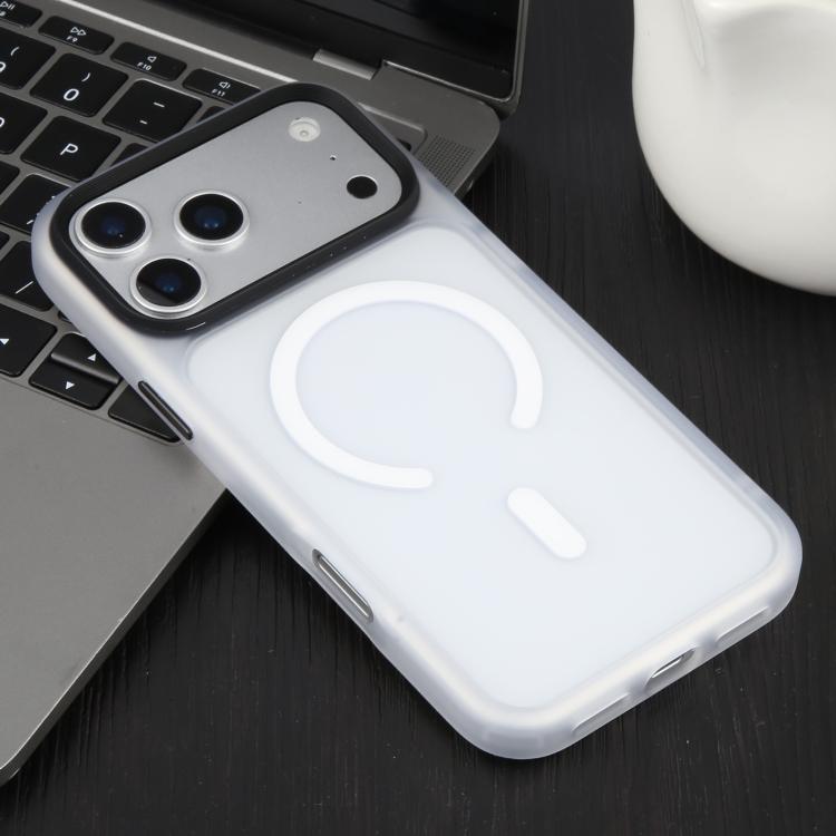 For iPhone 17 Pro Max DFANS DESIGN Leather Texture Frosted Magsafe Magnetic Phone Case