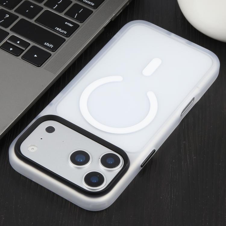 For iPhone 17 Pro Max DFANS DESIGN Leather Texture Frosted Magsafe Magnetic Phone Case