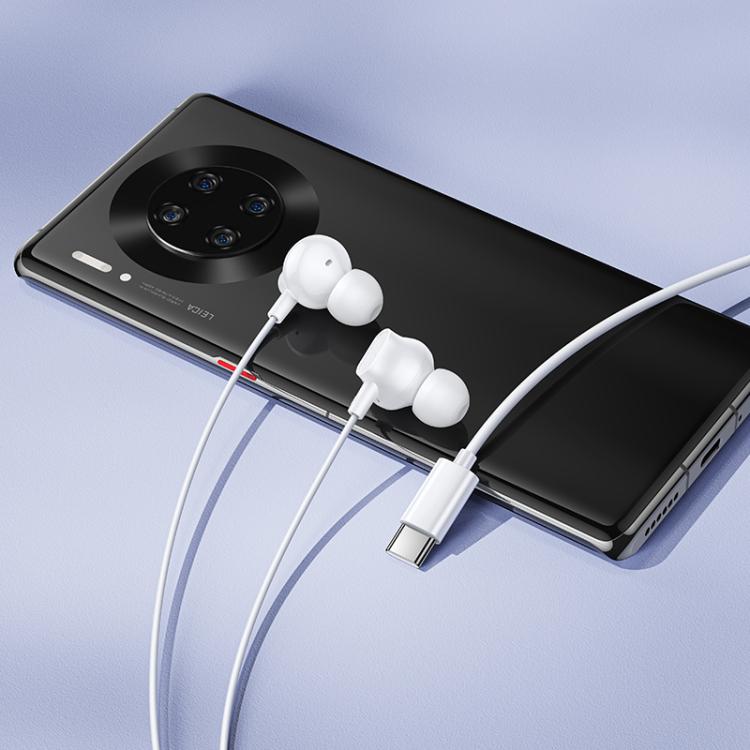 hoco M117 Victory Type-C Universal Digital Earphones with Microphone