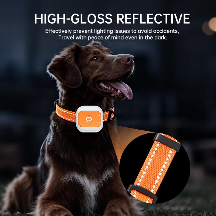 G01 Pet Anti-Loss Collar GPS Tracker - Orange