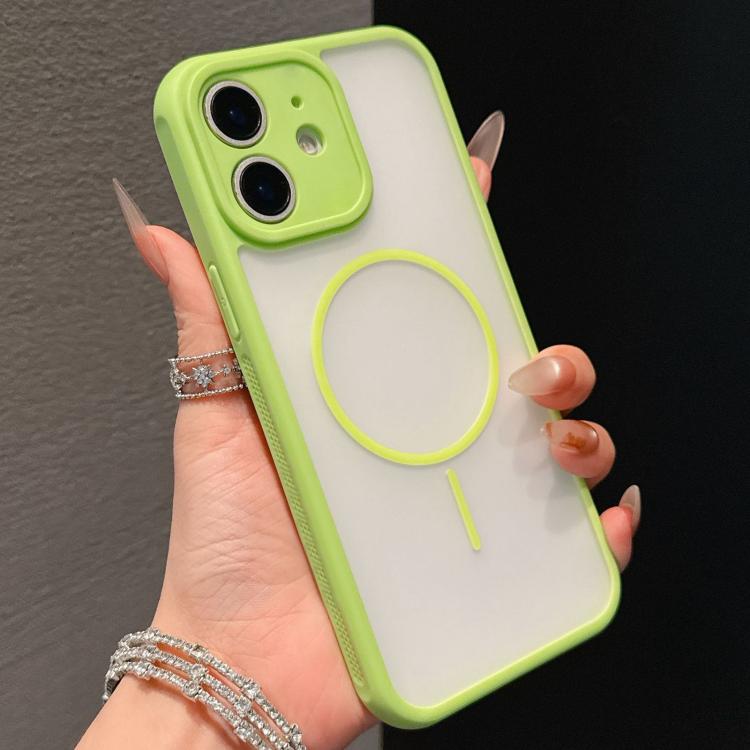 For iPhone 11 Cooling Skin Feel Magnetic Phone Case