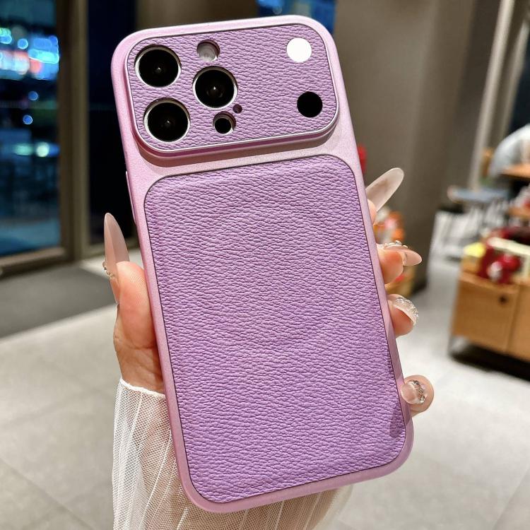 For iPhone 13 Pro Transforms Into 17 Large Window Litchi Texture Magnetic Phone Case