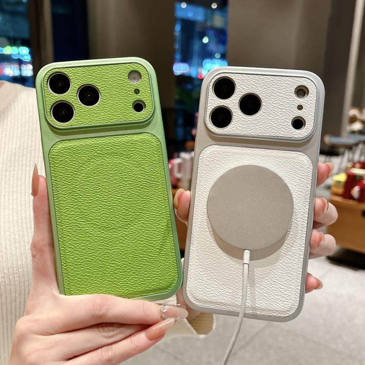 For iPhone 17 Pro Max Transforms Into 17 Large Window Litchi Texture Magnetic Phone Case