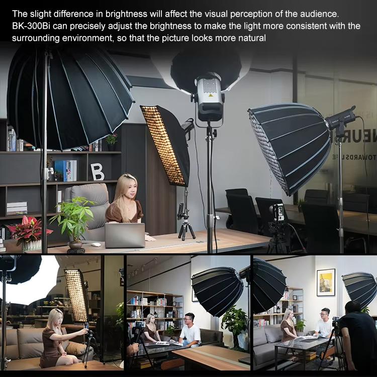 BOKELAI BK-300Bi 300W 2700K-6500K Dual Color Temperature LED Video Fill Light with Remote Control, UK Plug
