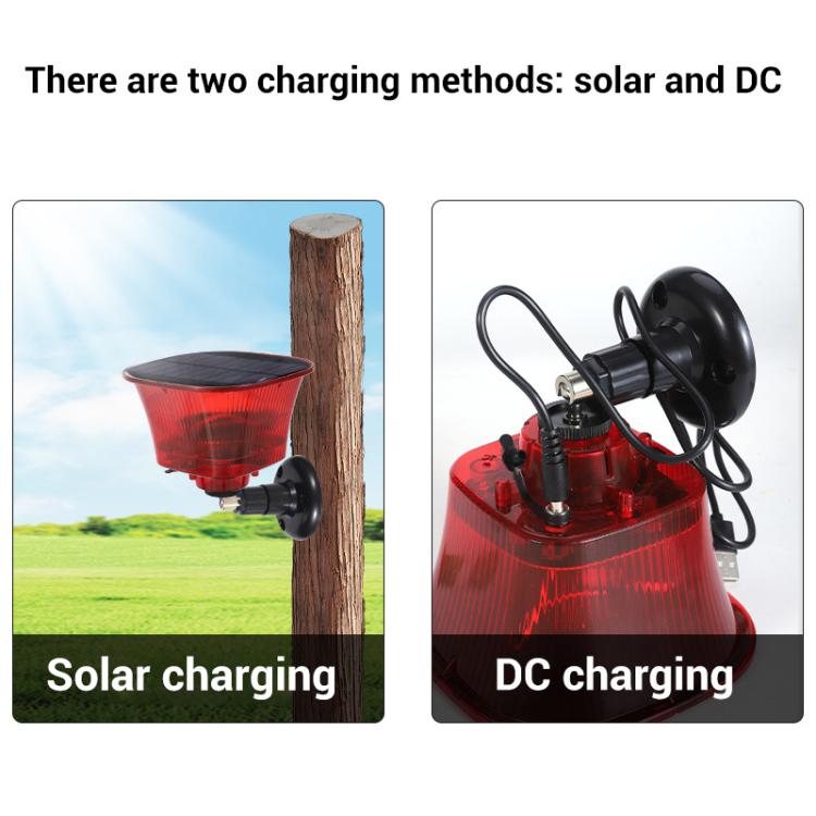 Orchard Sound and Light Alarm Solar Powered Animal Repellent - Black Red