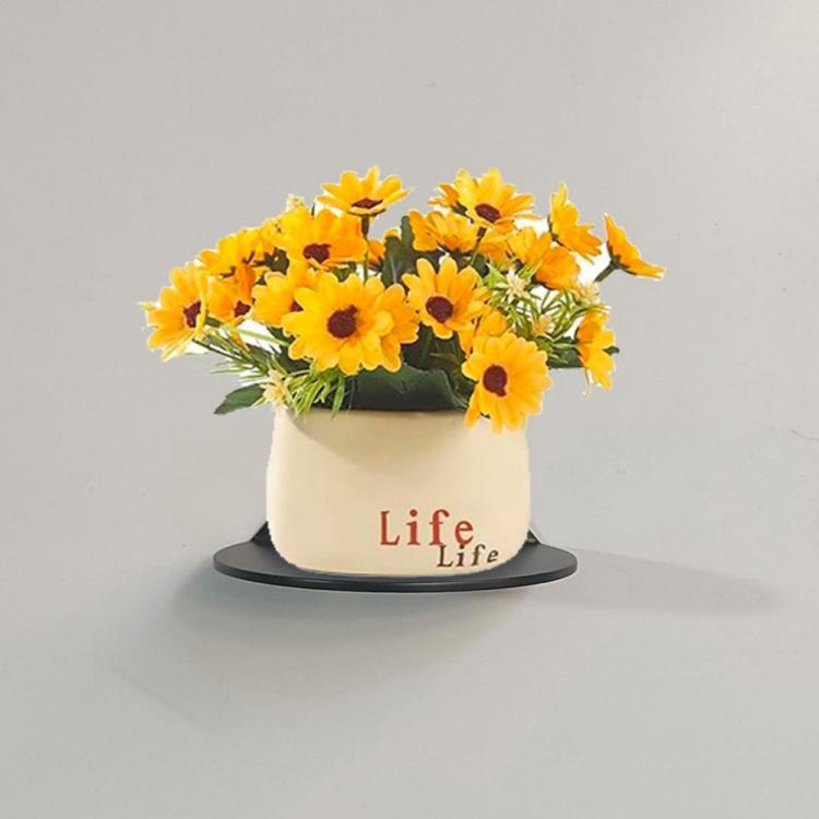 Single Pack Wall-Mounted Acrylic Small Storage Rack Display Stand - Black