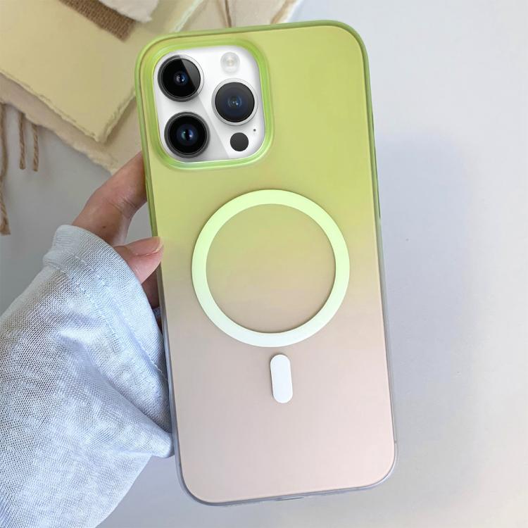 For iPhone 13 Pro Max Frosted Gradient TPU Magnetic Phone Case
