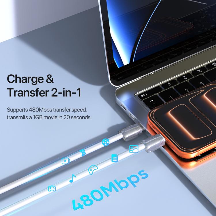 DUX DUCIS LCBA Series 60W Type-C to Type-C Lanyard Fast Charging Data Cable, Length: 30cm