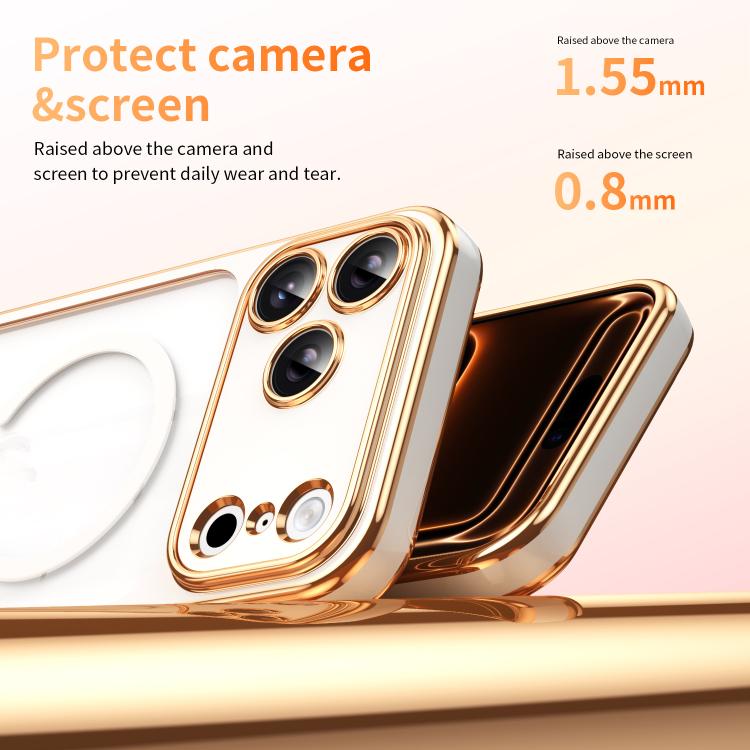For iPhone 17 Pro Max Electroplated Dual Color TPU Detachable Lens Magnetic Shockproof Phone Case