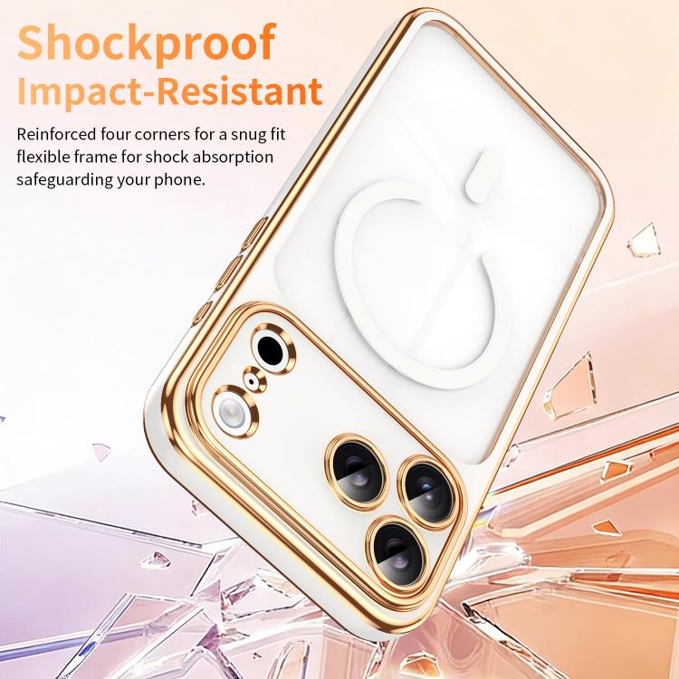 For iPhone 17 Pro Electroplated Dual Color TPU Detachable Lens Magnetic Shockproof Phone Case