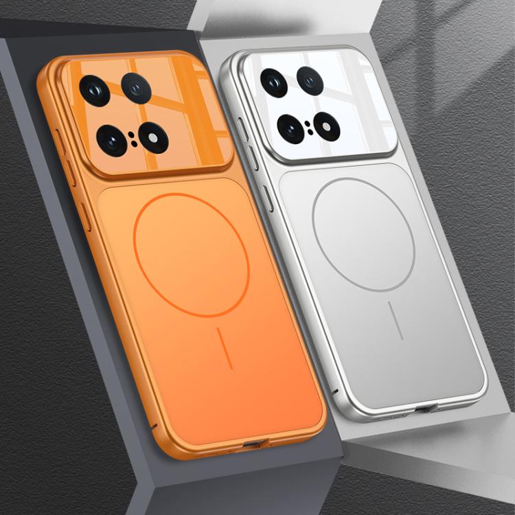 For vivo iQOO 15 GKK Change to 17 Pro Series Frosted Ultra-thin MagSafe Magnetic Phone Case