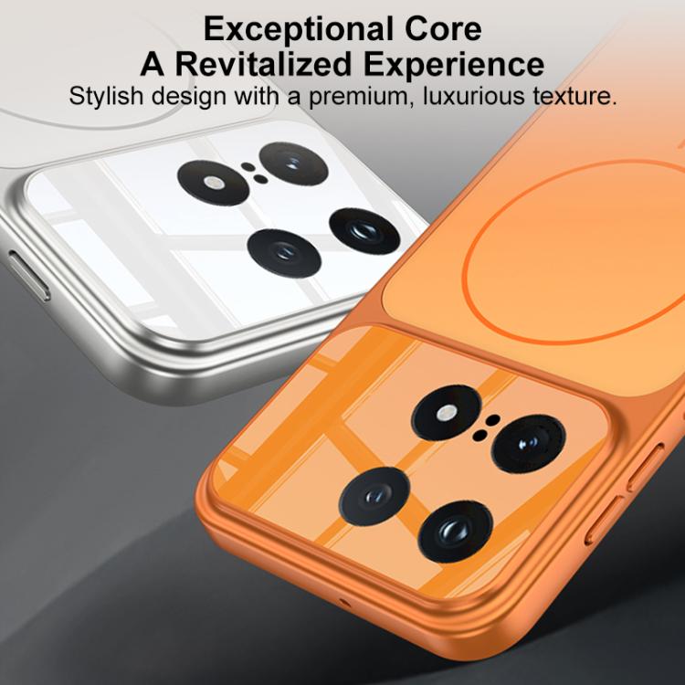 For vivo iQOO 15 GKK Change to 17 Pro Series Frosted Ultra-thin MagSafe Magnetic Phone Case