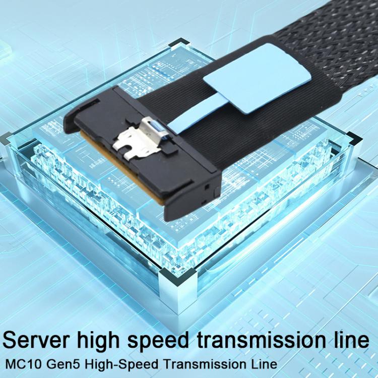 WG185 SlimeSAS MCIOx8 to 2xMCIOx4 Gen5MCIOx8 Server Data Adapter Cable, Length:0.5m - Black