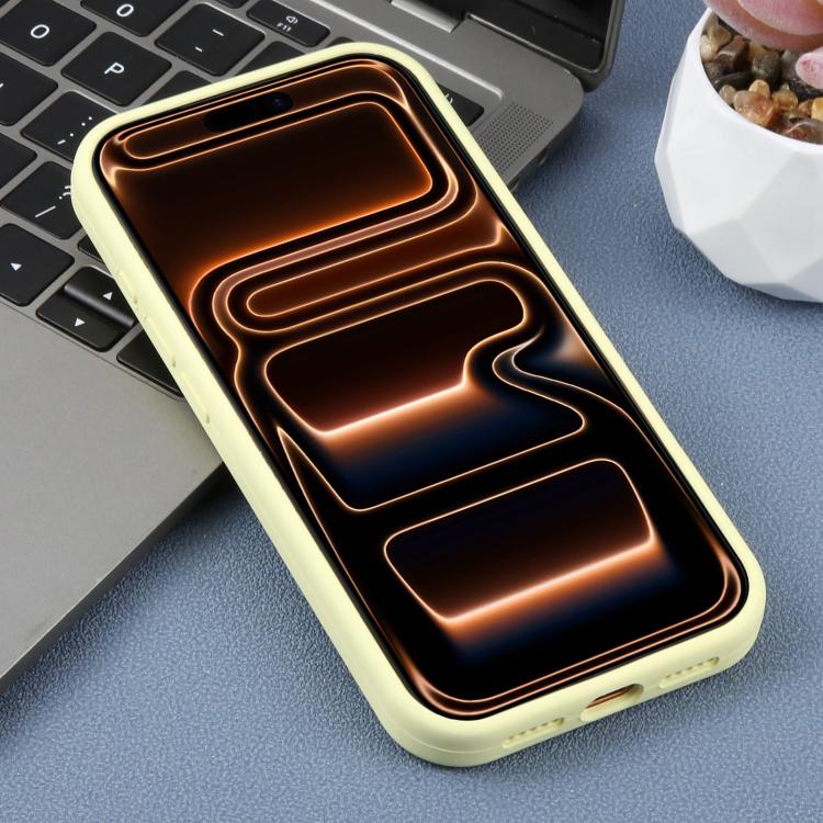 For iPhone 17 Pro Precision Hole Leopard Print Liquid Silicone Phone Case