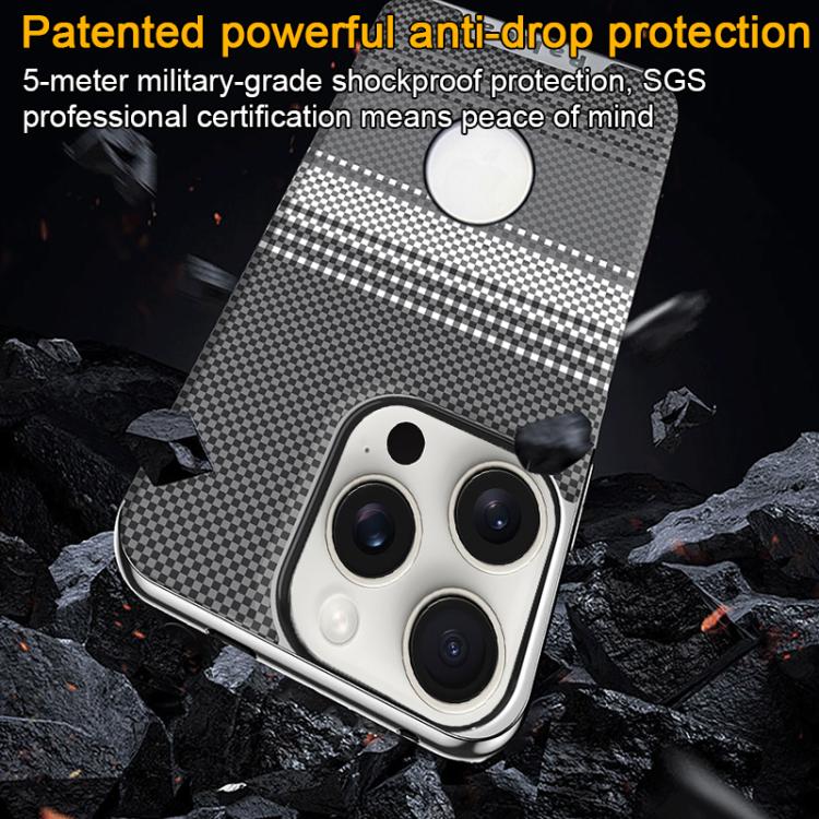 For iPhone 12 Pro Palida Electroplated Kevlar Texture Shockproof Phone Case