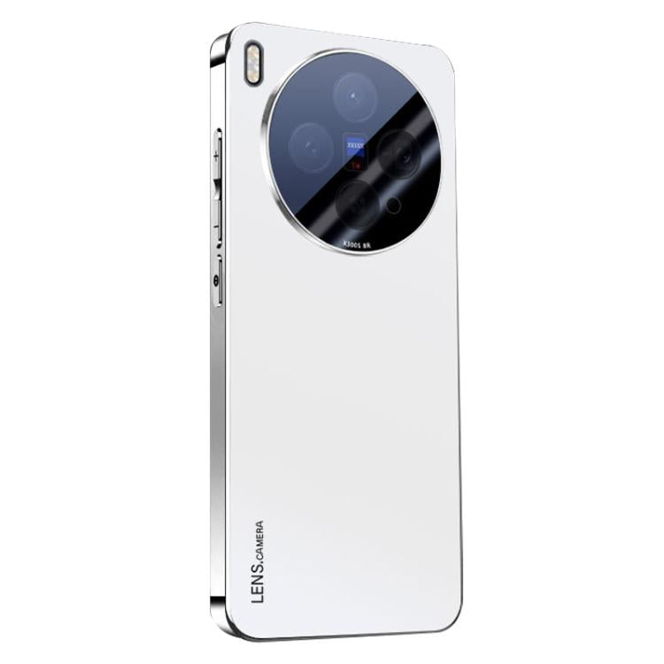 For vivo X300s AG Frosted Electroplating Acrylic Phone Case