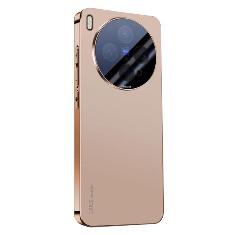 For vivo X300s AG Frosted Electroplating Acrylic Phone Case