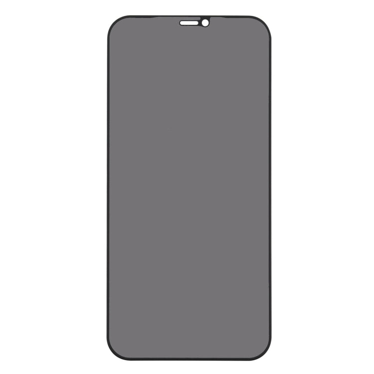 For iPhone 12 Pro Max Anti-peeping Plasma Oil Coated High Aluminum Wear-resistant Tempered Glass Film