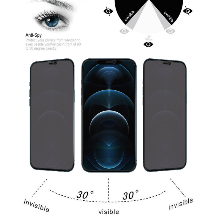 For iPhone 12 Pro Max Anti-peeping Plasma Oil Coated High Aluminum Wear-resistant Tempered Glass Film