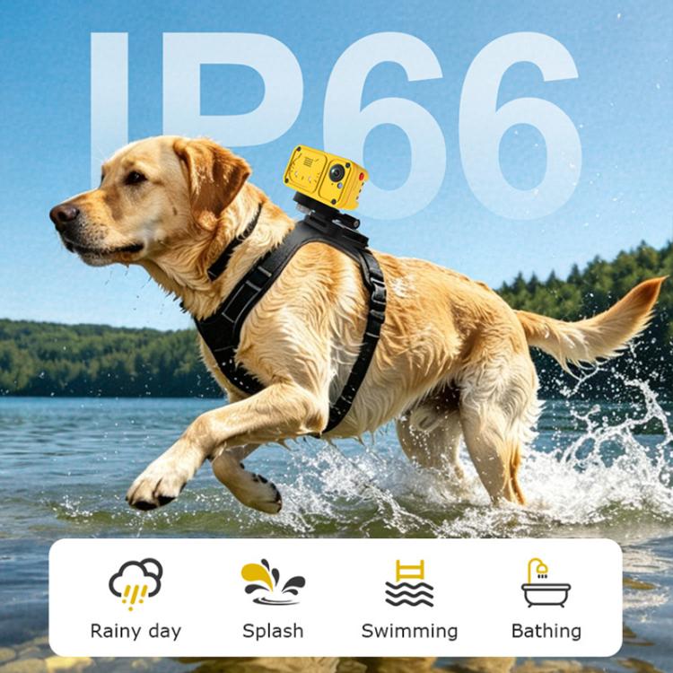 4G Outdoor Waterproof Pet GPS Location Tracker with Real-time Monitoring Camera, EU Version