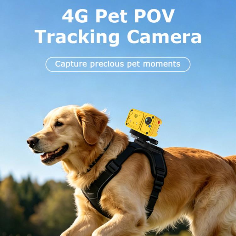 4G Outdoor Waterproof Pet GPS Location Tracker with Real-time Monitoring Camera, EU Version