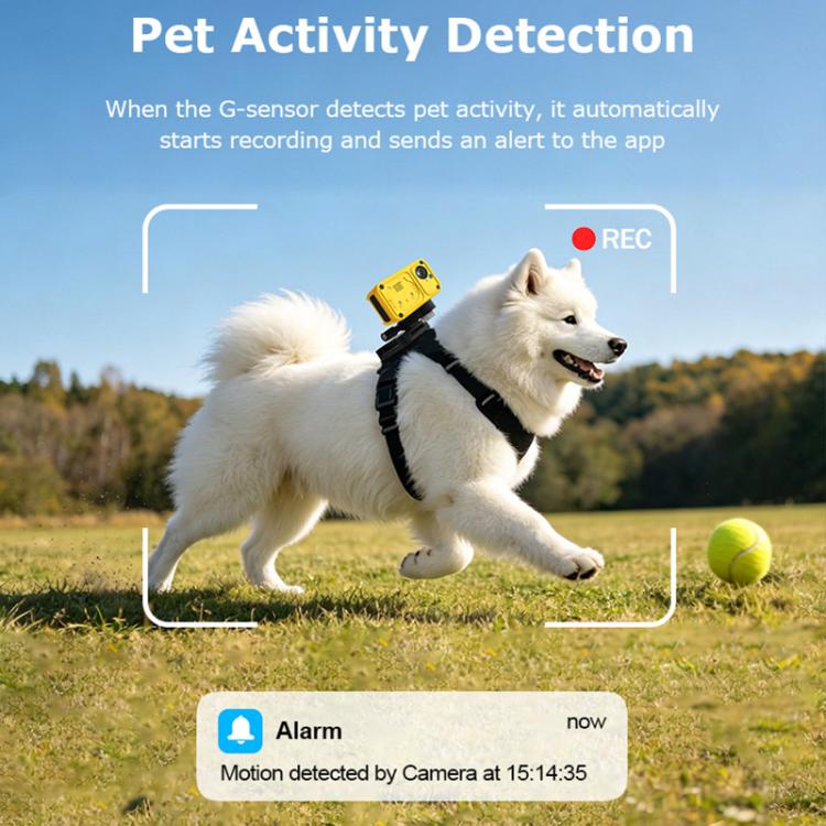 4G Outdoor Waterproof Pet GPS Location Tracker with Real-time Monitoring Camera, EU Version