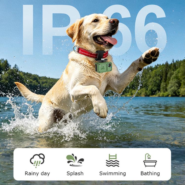 4G Outdoor Waterproof Pet GPS Location Tracker with Real-time Monitoring Camera, EU Version
